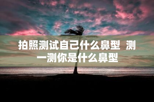 拍照测试自己什么鼻型 测一测你是什么鼻型
