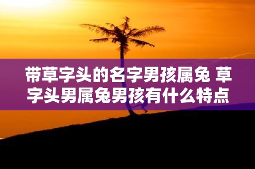 带草字头的名字男孩属兔 草字头男属兔男孩有什么特点