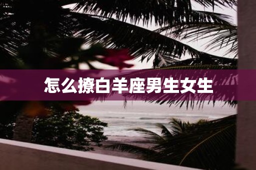 怎么撩白羊座男生女生