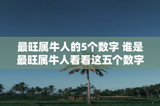 最旺属牛人的5个数字 谁是最旺属牛人看看这五个数字