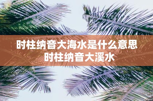 时柱纳音大海水是什么意思 时柱纳音大溪水