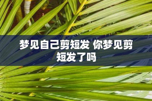 梦见自己剪短发 你梦见剪短发了吗
