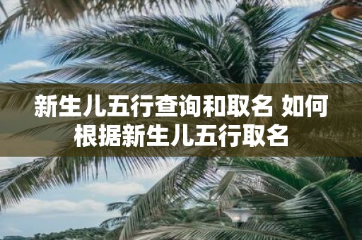 新生儿五行查询和取名 如何根据新生儿五行取名