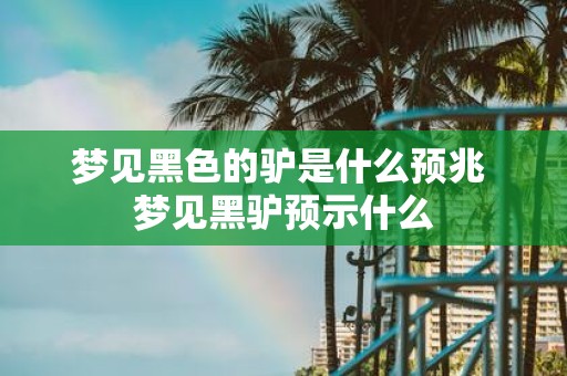 梦见黑色的驴是什么预兆 梦见黑驴预示什么
