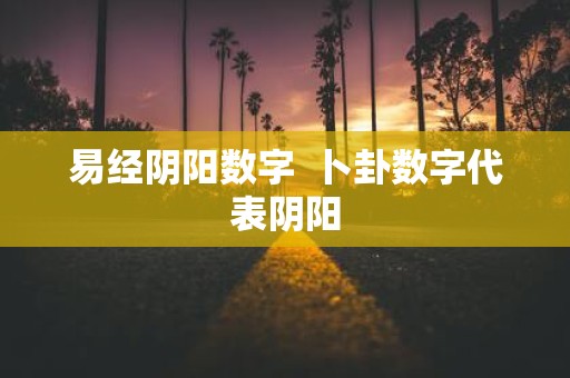 易经阴阳数字 卜卦数字代表阴阳