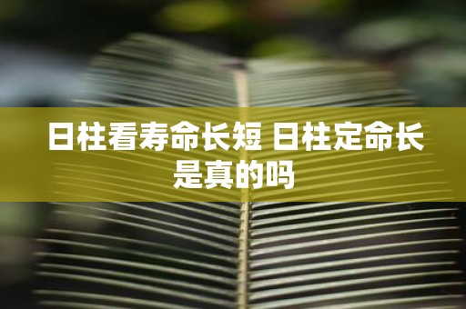 日柱看寿命长短 日柱定命长是真的吗