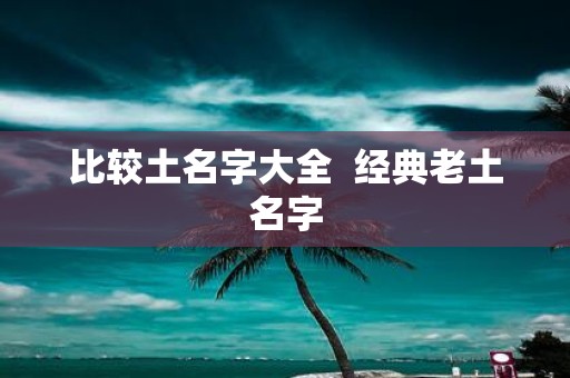 比较土名字大全 经典老土名字