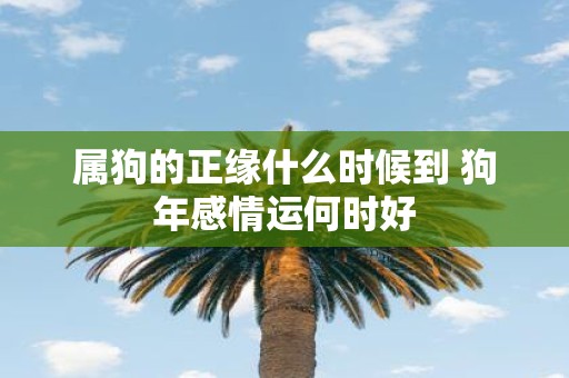 属狗的正缘什么时候到 狗年感情运何时好