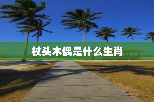 杖头木偶是什么生肖