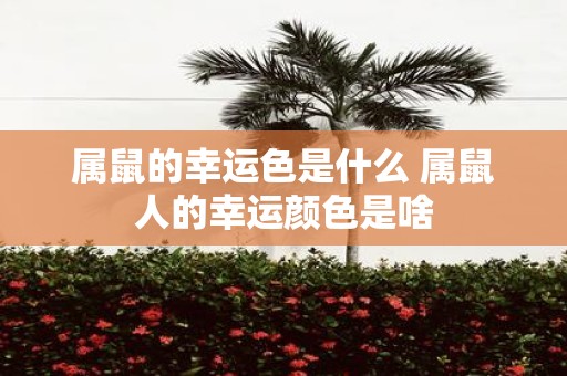 属鼠的幸运色是什么 属鼠人的幸运颜色是啥