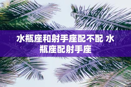 水瓶座和射手座配不配 水瓶座配射手座