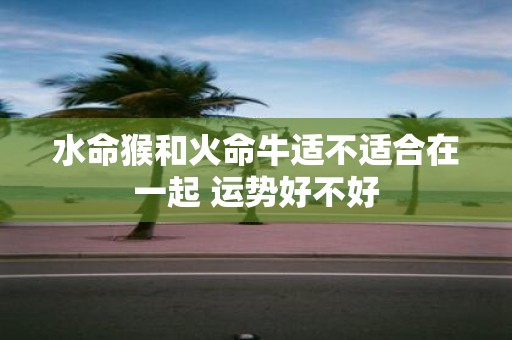 水命猴和火命牛适不适合在一起 运势好不好