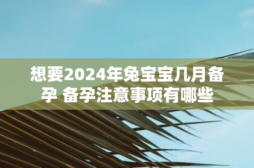 想要2025年兔宝宝几月备孕 备孕注意事项有哪些