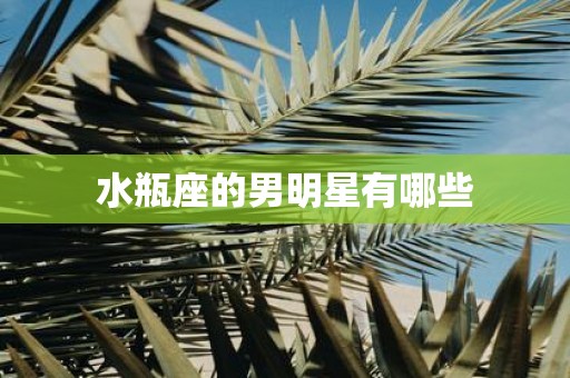 水瓶座的男明星有哪些
