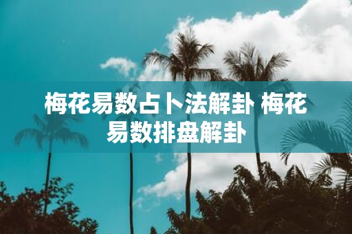 梅花易数占卜法解卦 梅花易数排盘解卦