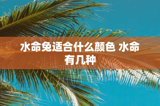 水命兔适合什么颜色 水命有几种