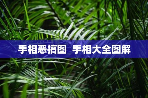 手相恶搞图 手相大全图解