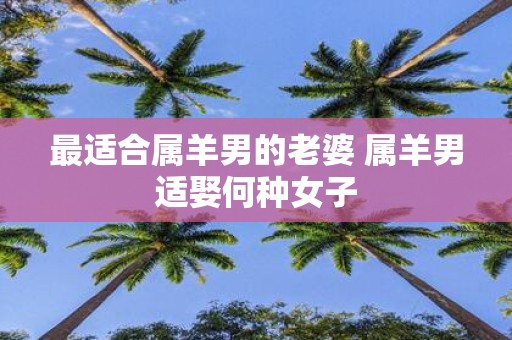 最适合属羊男的老婆 属羊男适娶何种女子