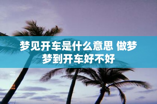 梦见开车是什么意思 做梦梦到开车好不好