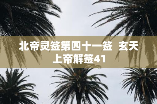 北帝灵签第四十一签 玄天上帝解签41