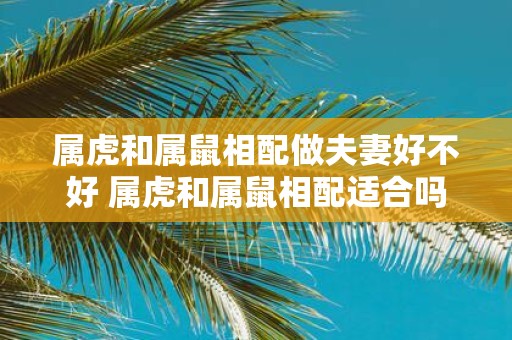 属虎和属鼠相配做夫妻好不好 属虎和属鼠相配适合吗