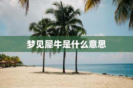 梦见犀牛是什么意思