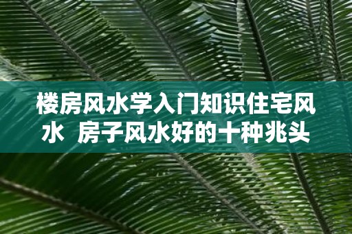 楼房风水学入门知识住宅风水 房子风水好的十种兆头