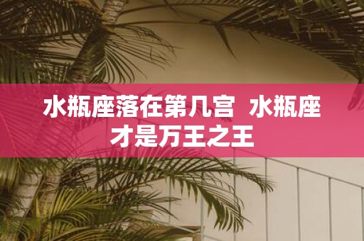 水瓶座落在第几宫 水瓶座才是万王之王