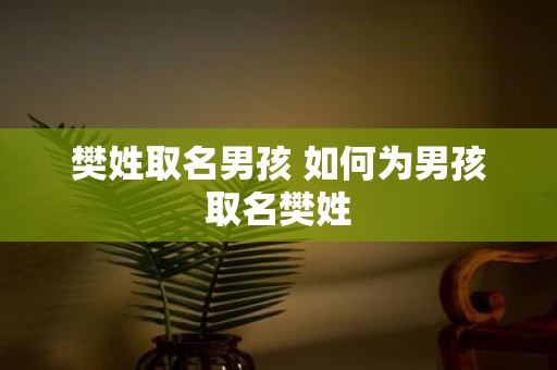 樊姓取名男孩 如何为男孩取名樊姓