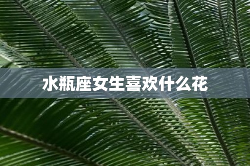 水瓶座女生喜欢什么花