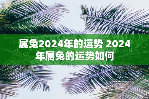 属兔2025年的运势 2025年属兔的运势如何