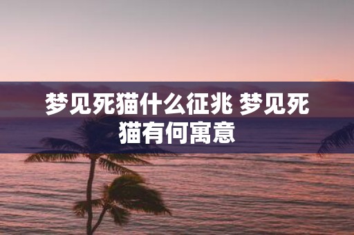 梦见死猫什么征兆 梦见死猫有何寓意