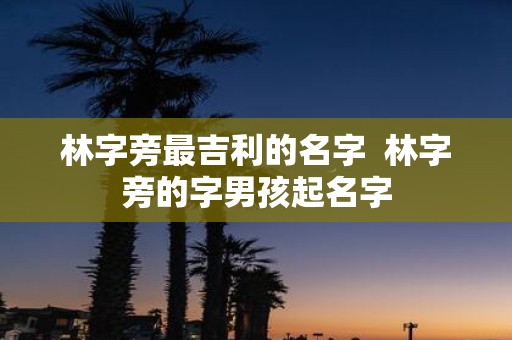林字旁最吉利的名字 林字旁的字男孩起名字