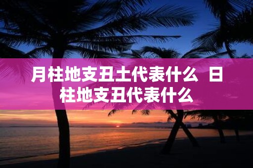 月柱地支丑土代表什么 日柱地支丑代表什么