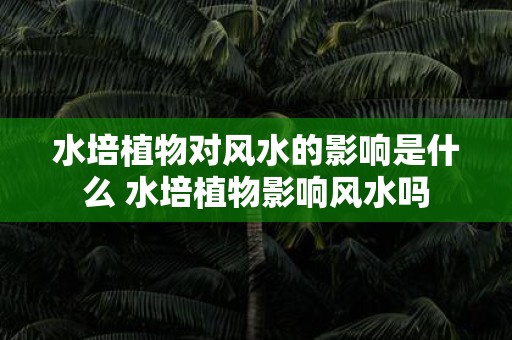 水培植物对风水的影响是什么 水培植物影响风水吗