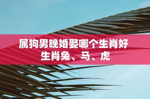 属狗男晚婚娶哪个生肖好 生肖兔、马、虎