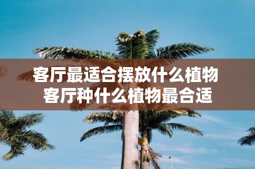 客厅最适合摆放什么植物 客厅种什么植物最合适