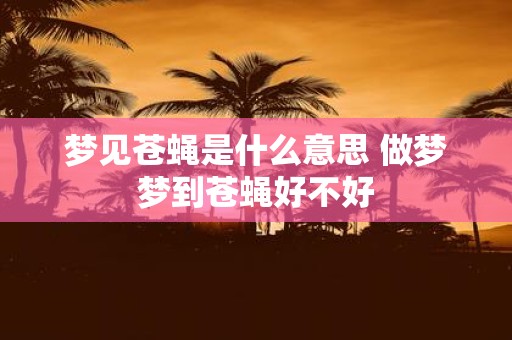 梦见苍蝇是什么意思 做梦梦到苍蝇好不好