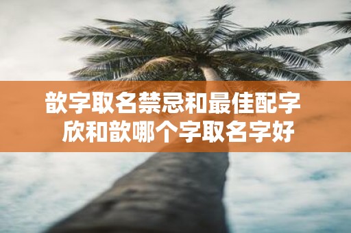 歆字取名禁忌和最佳配字 欣和歆哪个字取名字好