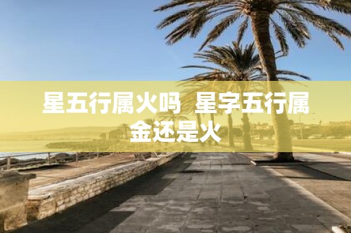 星五行属火吗 星字五行属金还是火
