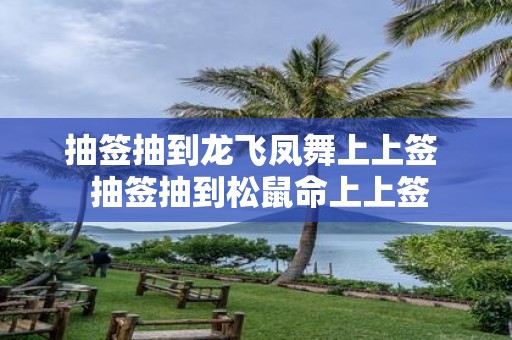 抽签抽到龙飞凤舞上上签 抽签抽到松鼠命上上签