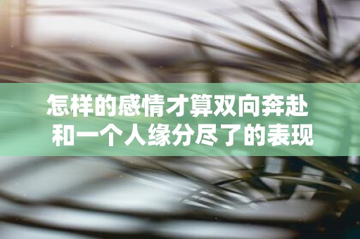 怎样的感情才算双向奔赴 和一个人缘分尽了的表现