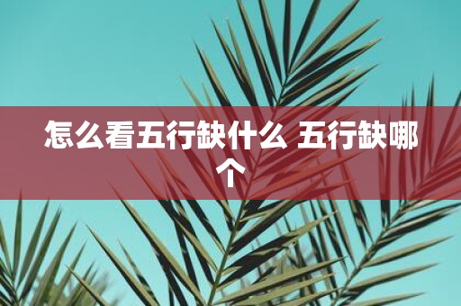 怎么看五行缺什么 五行缺哪个