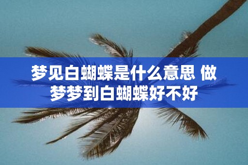 梦见白蝴蝶是什么意思 做梦梦到白蝴蝶好不好