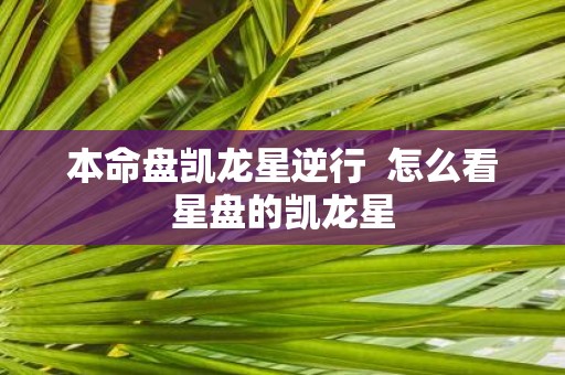 本命盘凯龙星逆行 怎么看星盘的凯龙星