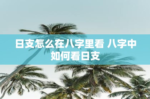 日支怎么在八字里看 八字中如何看日支
