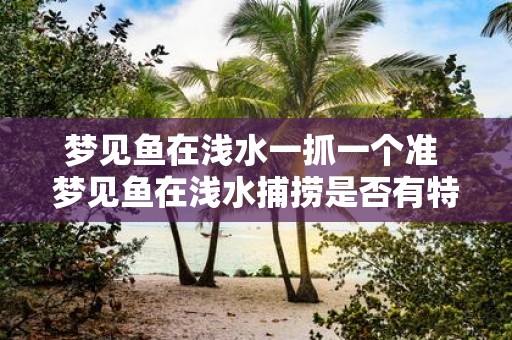 梦见鱼在浅水一抓一个准 梦见鱼在浅水捕捞是否有特殊含义