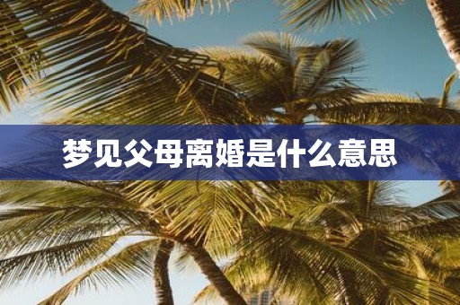 梦见父母离婚是什么意思