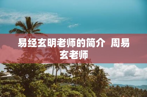 易经玄明老师的简介 周易玄老师