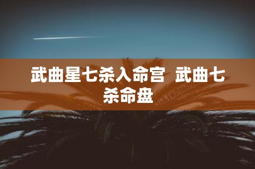 武曲星七杀入命宫 武曲七杀命盘